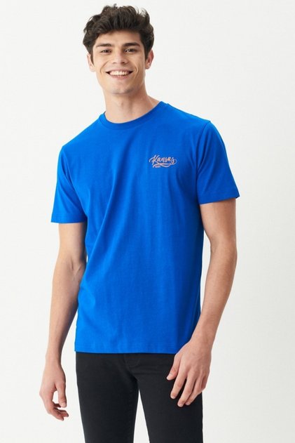 Regular Fit Normal Cut Crew Neck Blue T-Shirt