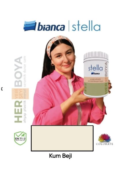 Stella Boya Yeni Nesil Yaşam Boyası Dolap-Fayans-Cam-Plastik-Ahşap