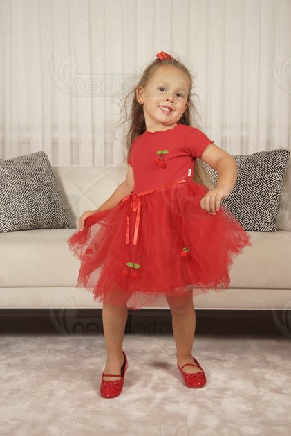 Tulle Lined Stretchy Cherry Dress