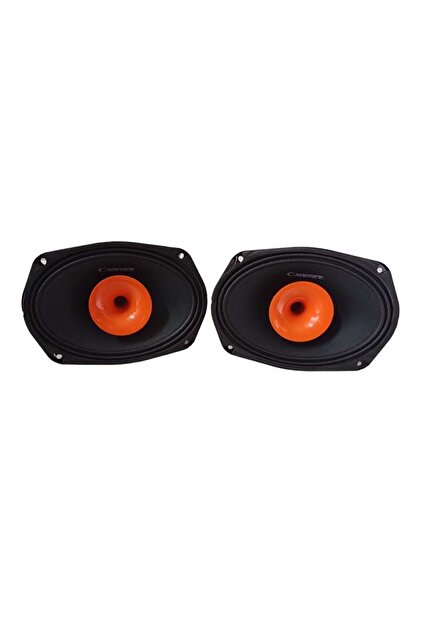 Cadence FR HRN 69 OVAL ÖDÜLLÜ MİDRANGE ÇİFTİ 600 WAT 300 RMS HORN