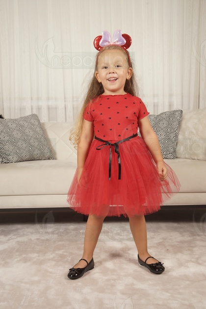Baby girl-children's short sleeve heart tulle lined dress for birthday and special occasions