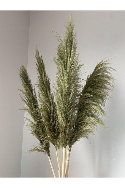 Pampas Renkli ithal ( somon,pembe,yeşil ve doğal)