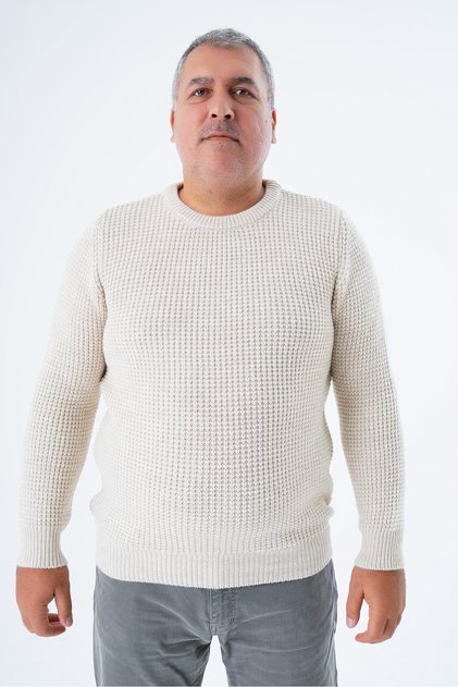 Large Size Men's Beige Thessaloniki Knitted Crew Neck Knitwear Wool Sweater Trist-2116