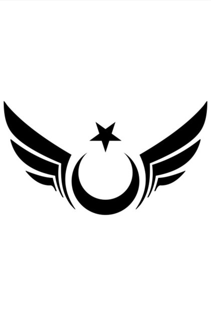Winged Moon Star Sticker Auto Car Sticker Glass Sticker Black 20 X 11 Cm