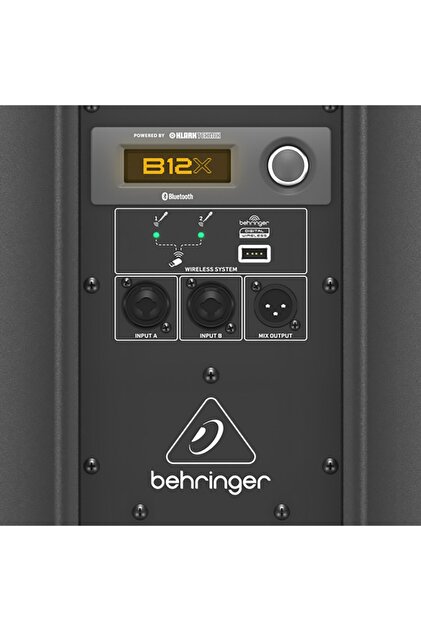 Behringer Eurolive B12x 12