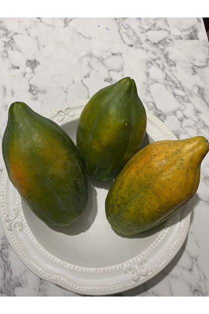 Papaya (Ağaç Kavunu)500-1000 gr