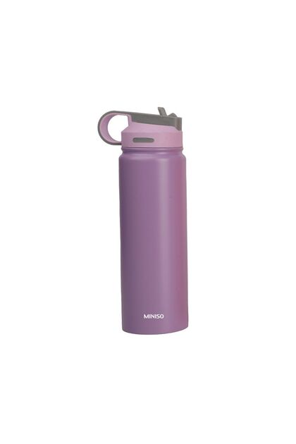 Klasik Tasarım Pipetli Sızdırmaz Kapaklı Çelik Su Kabı (900ML) - Mor