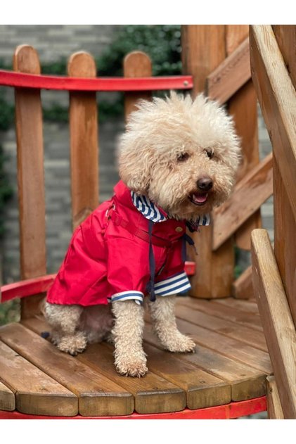 Red Raincoat