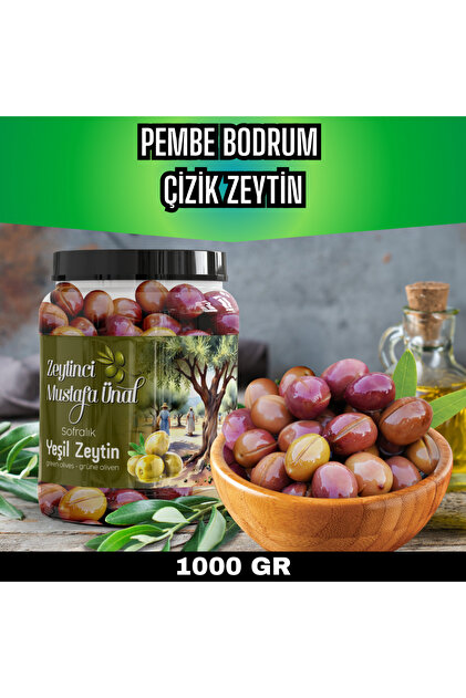 エビネ-26022　6-53　梅豊×火の鳥 Zeytinci Mustafa Ünal Bodrum Pembe Çizik Zeytin - Fiyatı, Yorumları