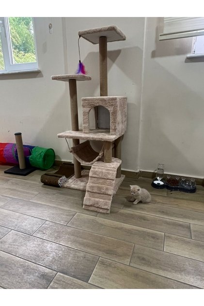 Luxury Cat Scratching House and Play Platform with Hammock and Nest