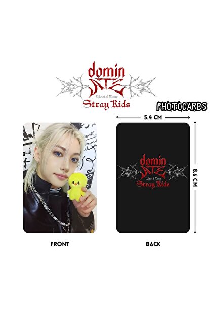 Kpop Dünyasi STRAY KIDS '' dominATE 3rd World Tour '' Photocards