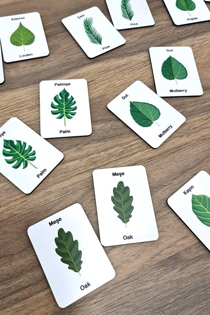 Wooden 24 Piece Leaves Matching Cards Brain Teaser Game