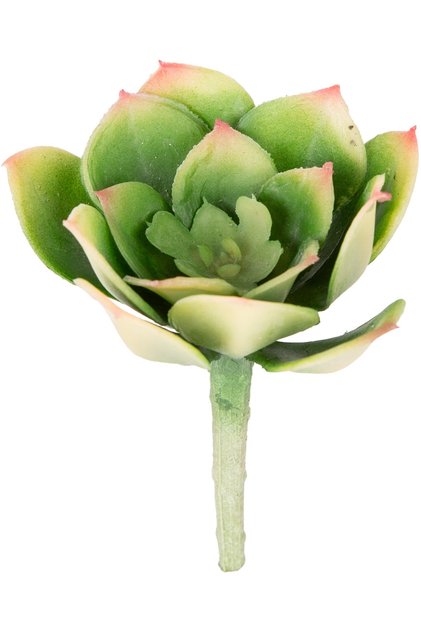 Cactus Artificial Suculent Verde 12 Cm