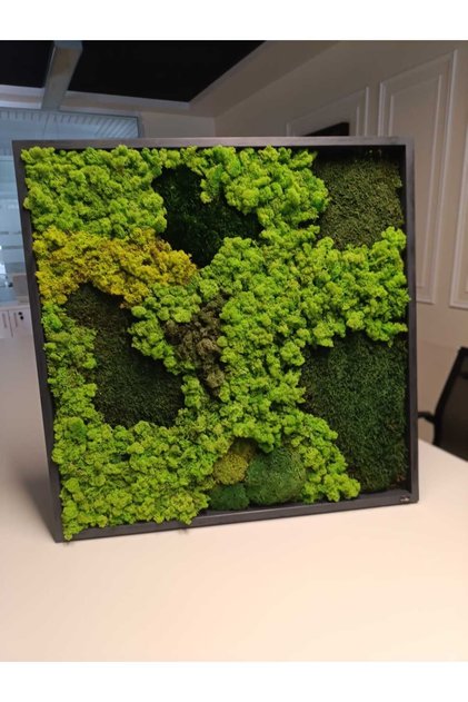 80x80 YOSUN TABLO