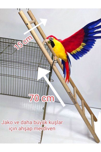Ladder for Jako and Larger Parrots