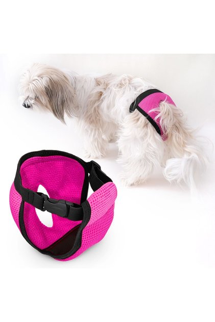 Funny And Furry Köpek Regl Külodu, Sanitary Pants, Köpek Pedi, Regl Külot