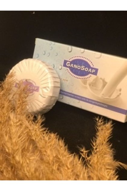 Gano Excel Ganosoap 2 Adet (100*2)