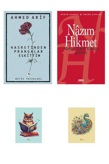 Hasretinden Prangalar Eskittim - Ahmed Arif -henüz Vakit Varken Gülüm-nazım Hikmet-(2 NOT DEFTERLİ)