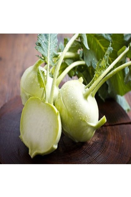 Alabaş Turp Yer Lahanası 2 kg