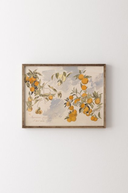 Fruit Trees - Wooden Patterned Frame