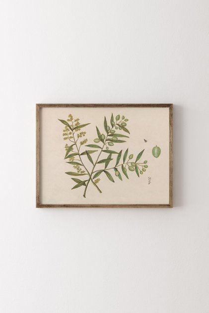 Olive Branch - Wooden Patterned Frame