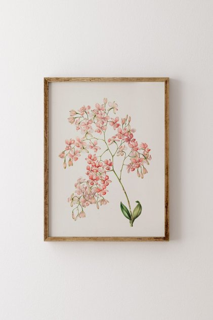 Flowers - Wooden Patterned Frame