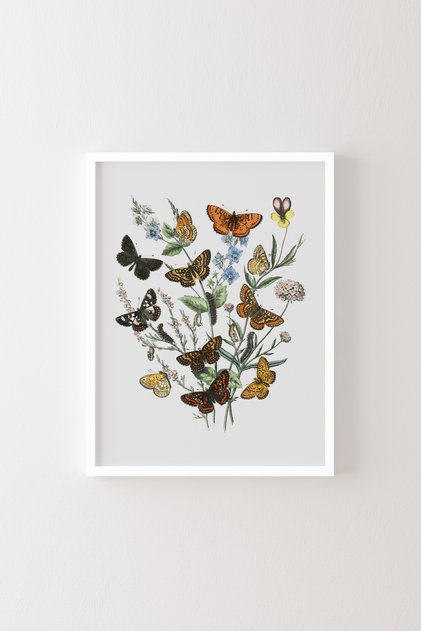 Butterflies - White Frame