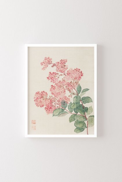 Hydrangea - White Frame