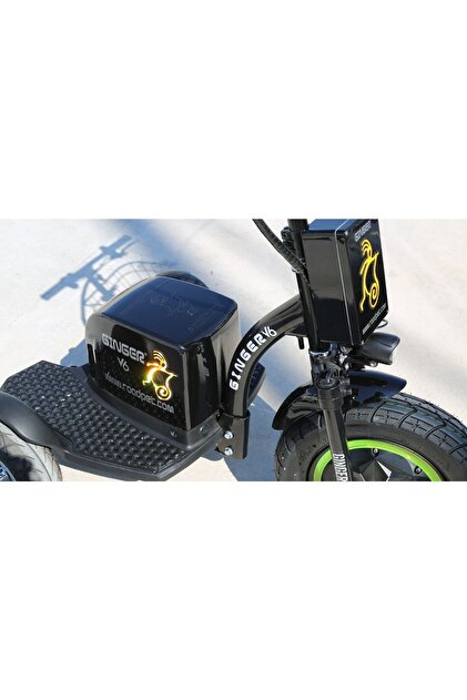 Ginger :) Ginger Elektrikli Scooter 3 Tekerlekli Mypet 36 V 250 W Sarı
