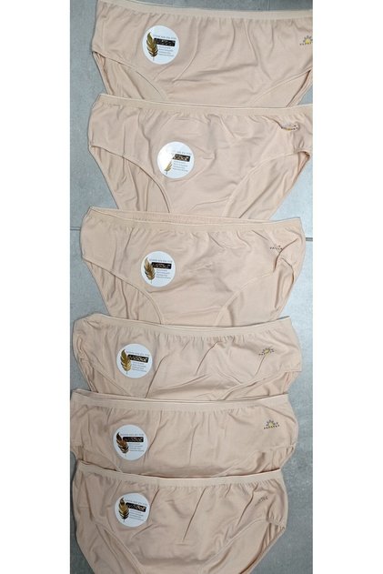 Women's Bikini Waist Panties 1850 Modal 3-Pack