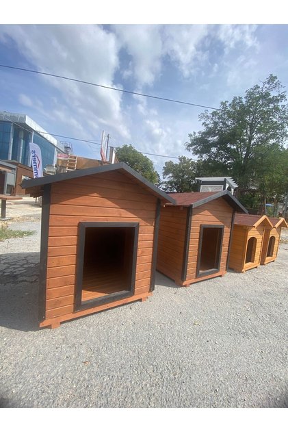 BÜYÜK KÖPEK KULÜBESİ