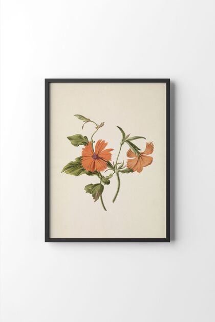 Red Flower - Black Frame