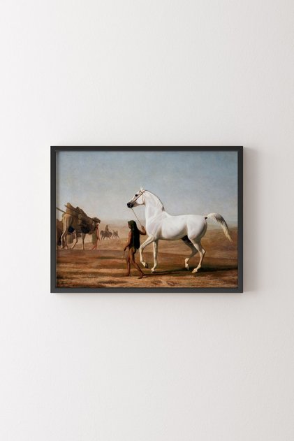 Arabian Horse in the Desert - Black Frame