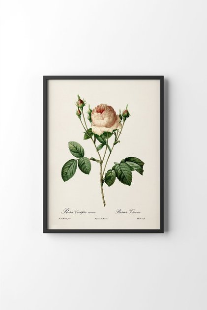 Flowers - Black Frame