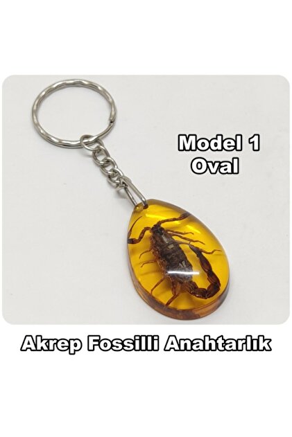 Tesbih Sakarya Akrep Fosilli - Toz Kehribar Anahtarlık - 4 Model