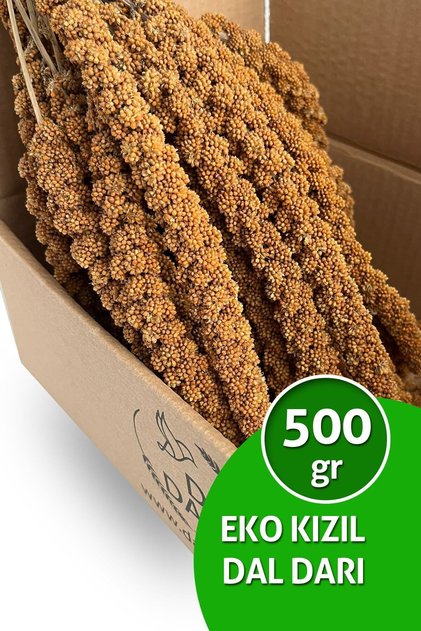 Eko Kızıl Dal Darı 500 Gr Muhabbet Kuşu Yemi Dal Darı (organik Dal Darı)