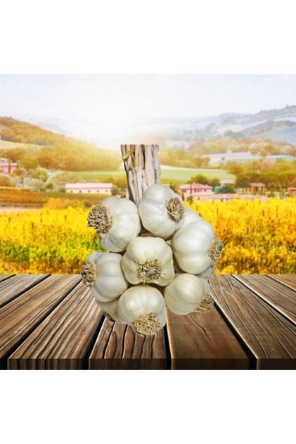 Taşköprü Sarımsağı Duble Boy 1 Kg 2025
