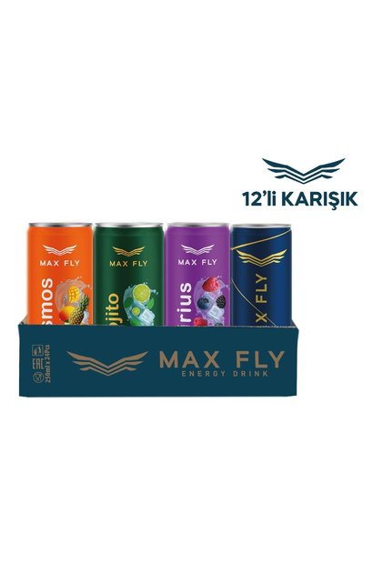 Enerji İçeceği 250 ml Karma Paket 12'li