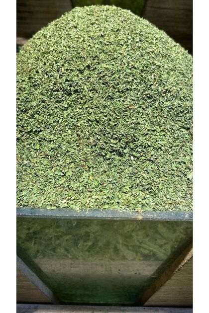 Taze Elenmiş Yeşil Nane 400 gram