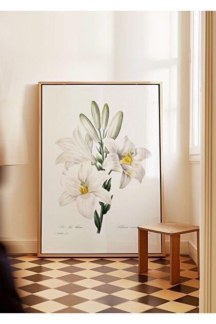 ARTHOUSECOLLECTIVE Beyaz Zambak Poster - Pierre J.r. - Botanik