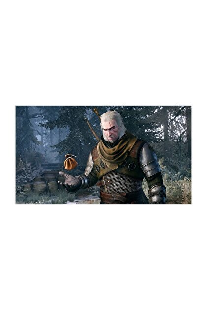 CD Projekt Red The Witcher 3 Wild Hunt Ps4 Oyun Fiyatı, Yorumları