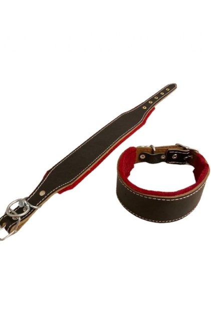 Black Divine Leather Puppy Kangal Dog Collar We Are Related