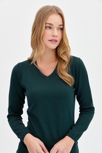 Women's Lycra Long Sleeve Basic V-Neck Blouse Nefti