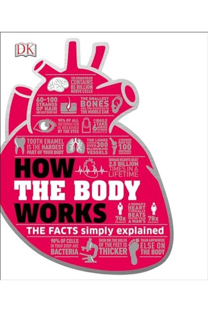 How The Body Works The Facts Simply Explained