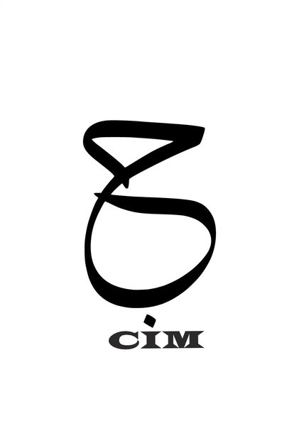 Cim Oto Domestic Production A+ Quality Black 25 X 40 cm Durable