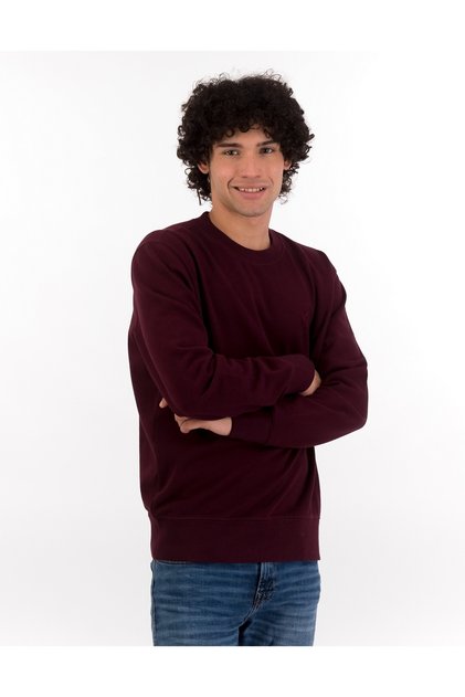 Ae Fleece Crew Neck Sweatshirt - Model U-0191-1750-613
