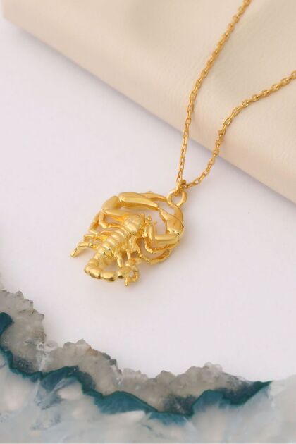 Nox Jewelry 925 Ayar Gümüş Üç Boyutlu Akrep Kolye Ucu - CN00362