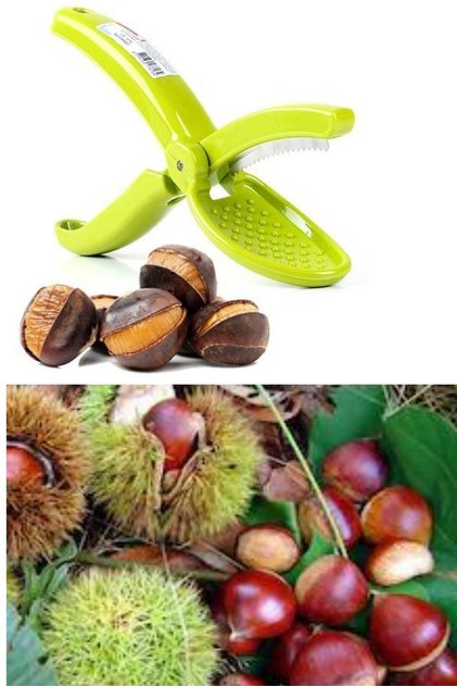 Chestnut Knife, Chestnut Scriber, Chestnut Cutter, Chestnut Cutting Knife