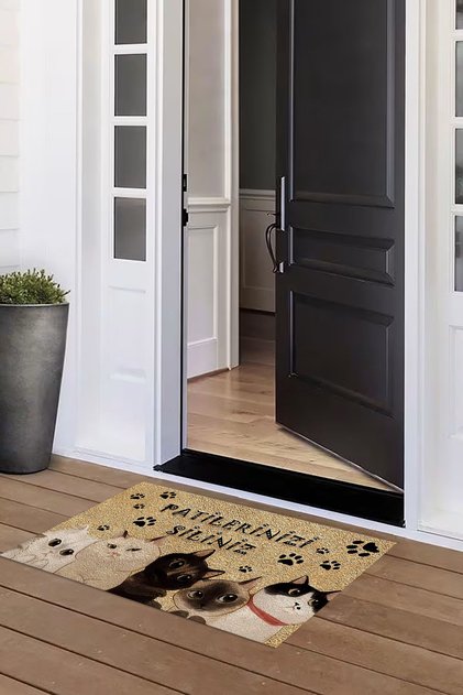 Cat Printed Non-Slip Base Erasable Door Mat (40X60Cm)