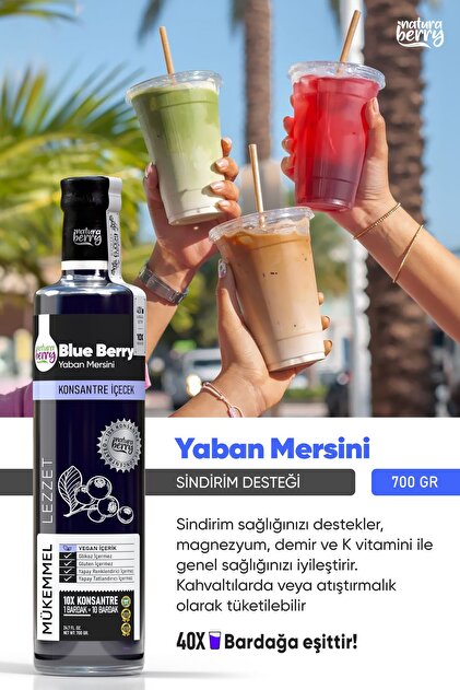 NaturaBerry Yaban Mersini Konsantresi 700gr - Fiyatı, Yorumları